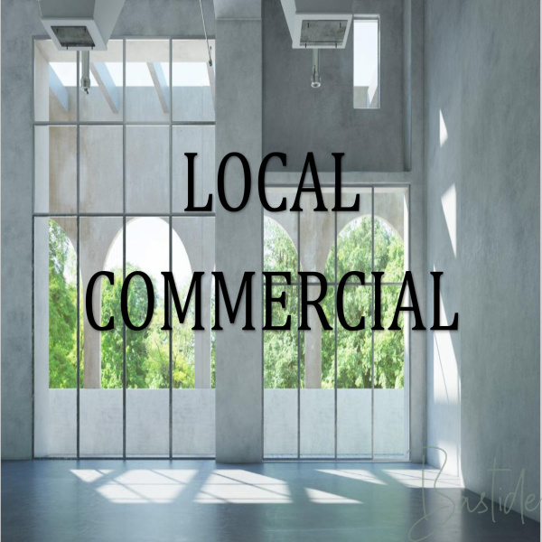 Vente Immobilier Professionnel Local commercial Nancy 54000